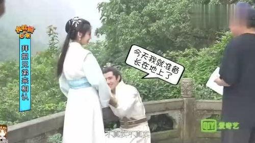 林奚花絮,揭秘幕后故事，探寻明星魅力瞬间