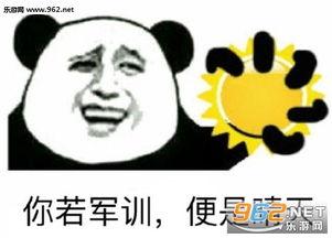 军训配上表情包,笑中带泪的青春回忆